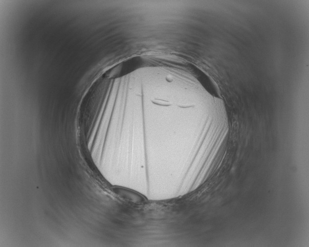 X0000073860290200609071640