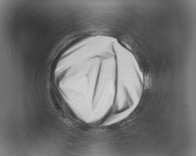 X0000073860291200609071640