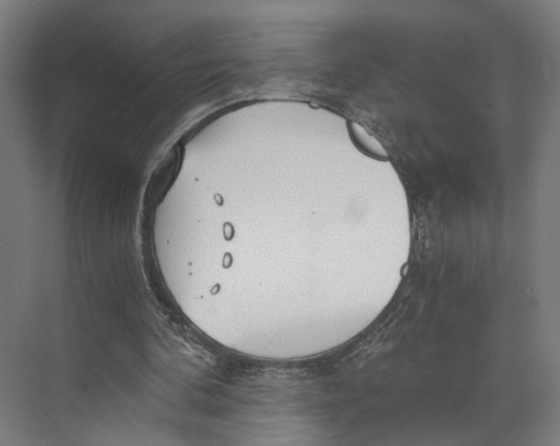 X0000073860292200609071640