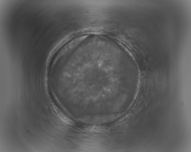 X0000073860293200609071640