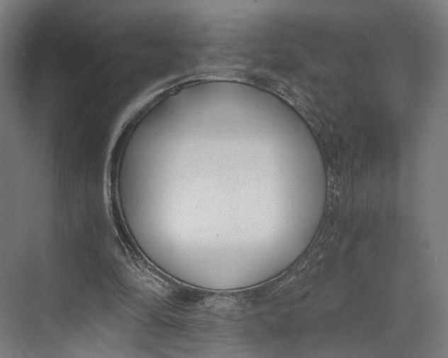 X0000073860294200609071640