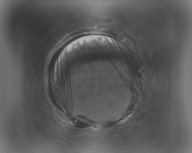 X0000073860295200609071640