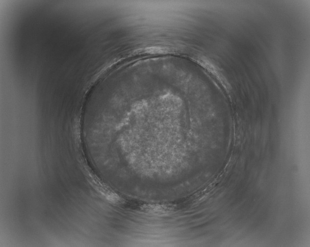 X0000073860297200609071640