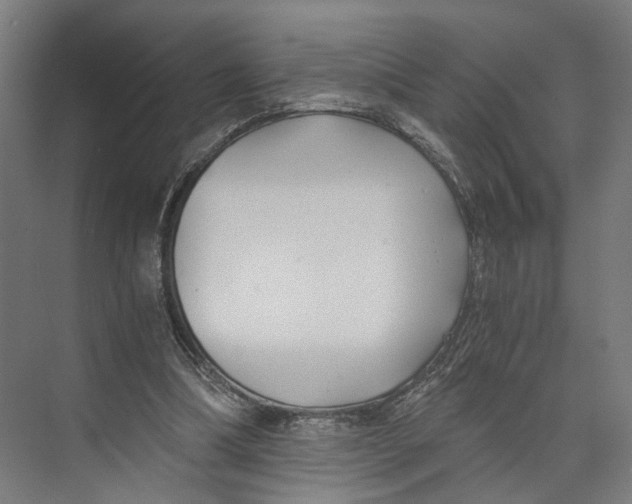 X0000073860298200609071640