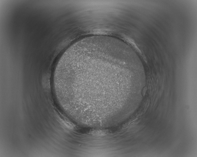 X0000073860299200609071640