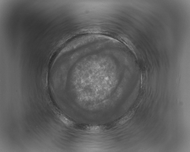 X0000073860301200609071640