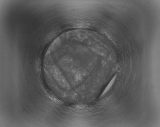 X0000073860303200609071640