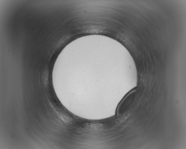 X0000073860304200609071640