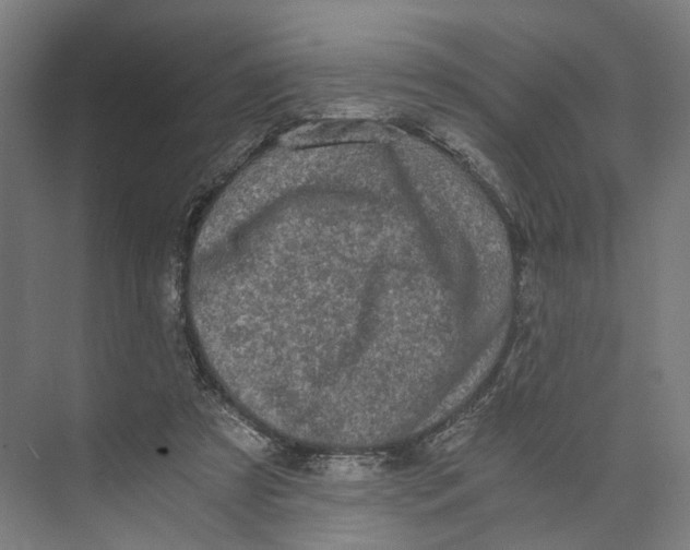 X0000073860305200609071640