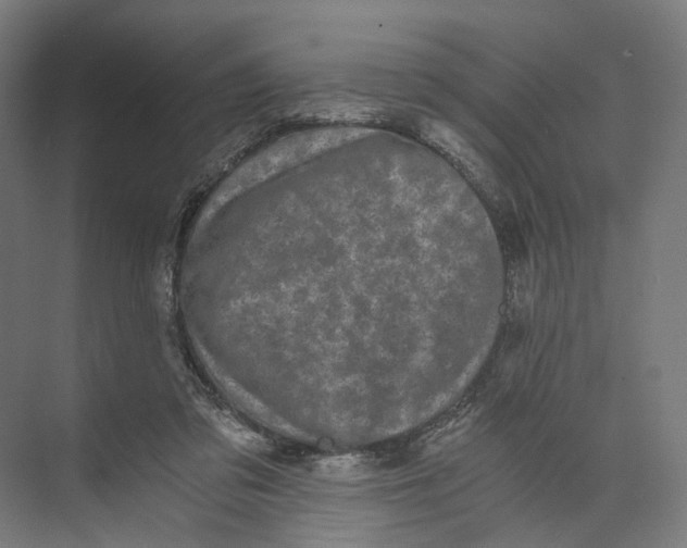 X0000073860309200609071640