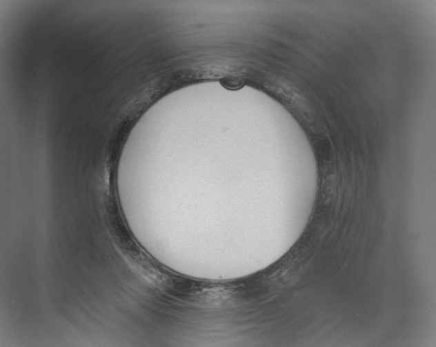 X0000073860310200609071640