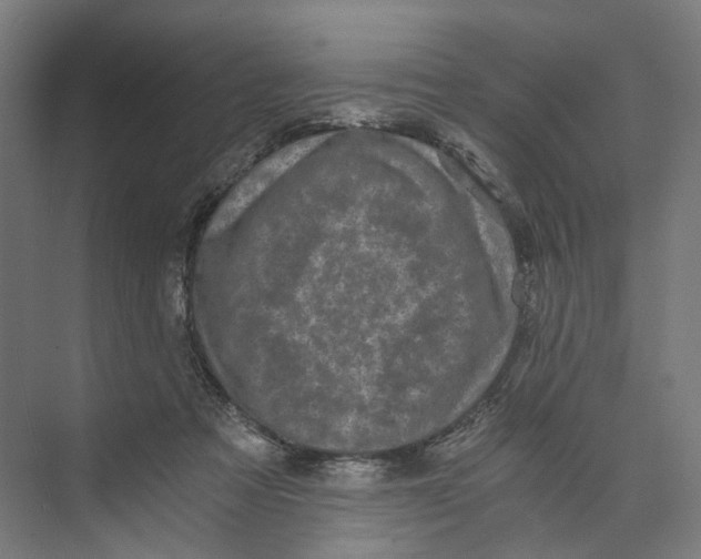 X0000073860313200609071640