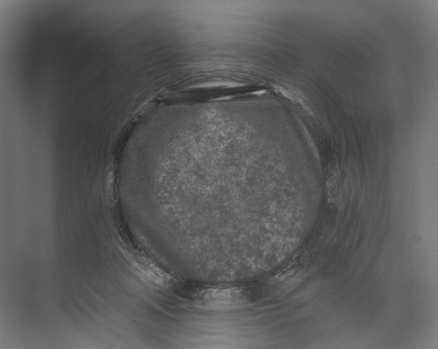 X0000073860314200609071640