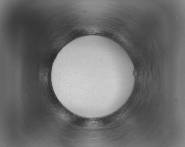 X0000073860315200609071640