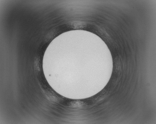 X0000073860316200609071640