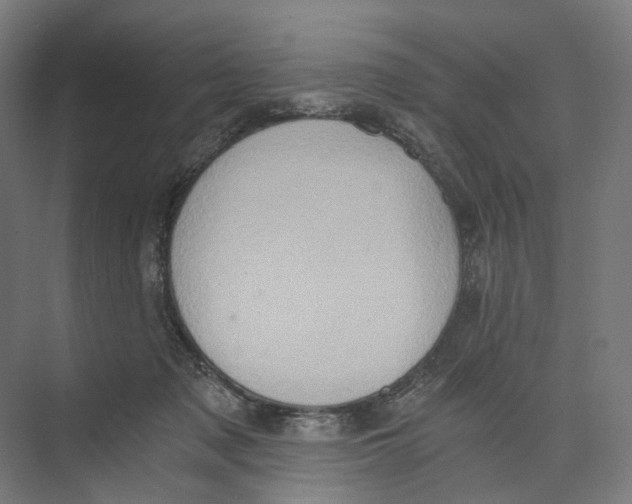 X0000073860317200609071640