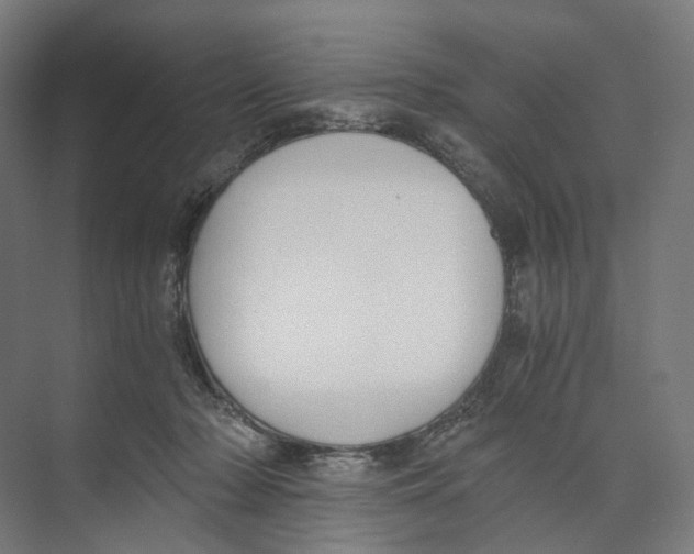 X0000073860318200609071640