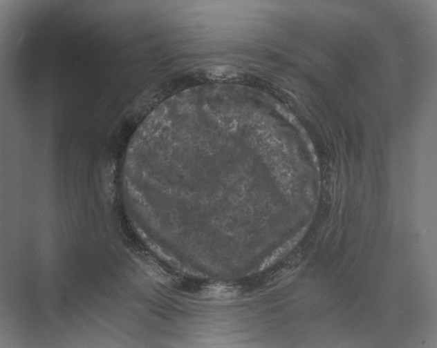 X0000073860319200609071640