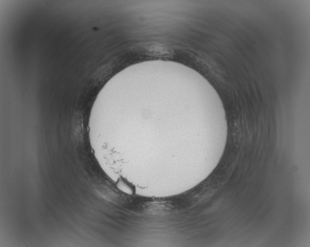 X0000073860320200609071640