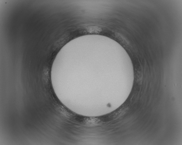 X0000073860321200609071640