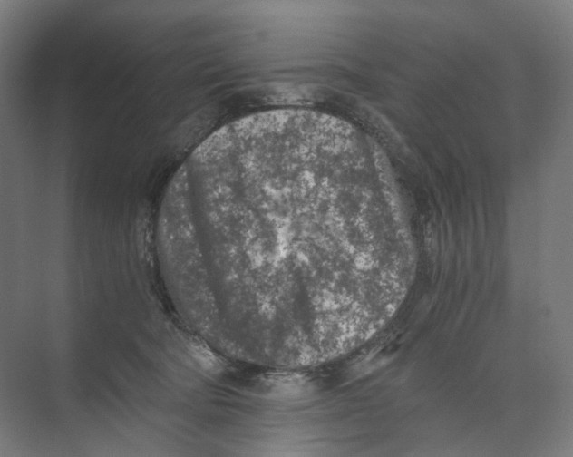 X0000073860322200609071640