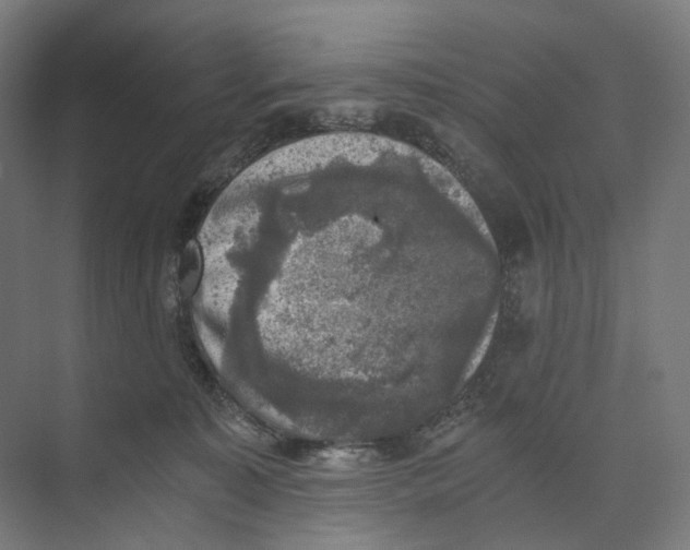 X0000073860323200609071640