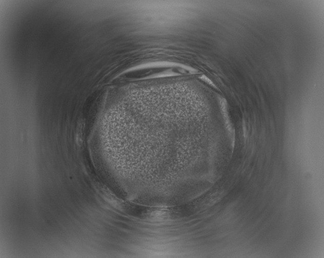 X0000073860325200609071640