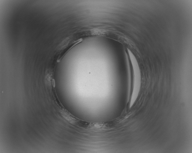 X0000073860329200609071639