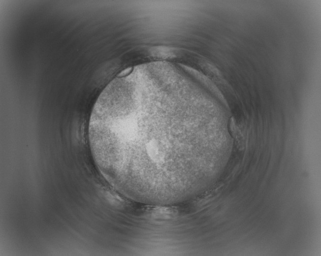 X0000073860330200609071639