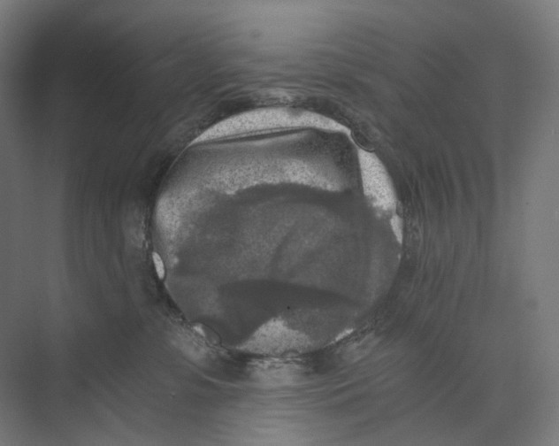 X0000073860331200609071639