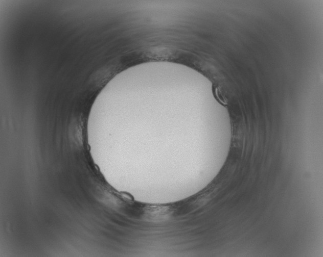 X0000073860334200609071639