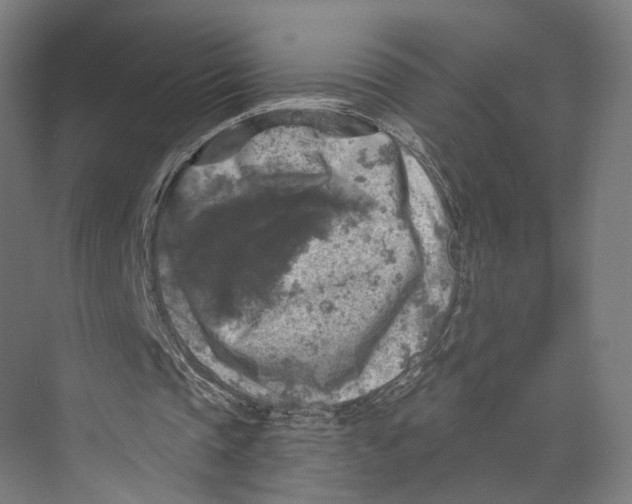 X0000073860337200609071639