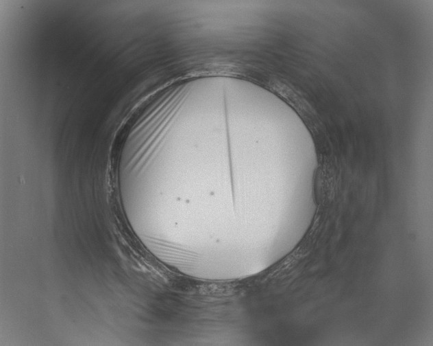 X0000073860338200609071639