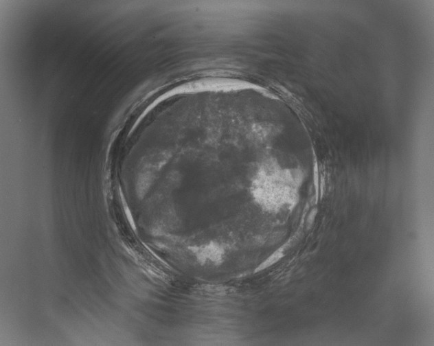 X0000073860339200609071639