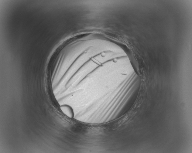 X0000073860342200609071639