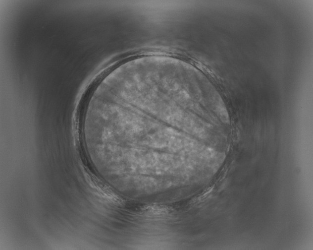 X0000073860343200609071639