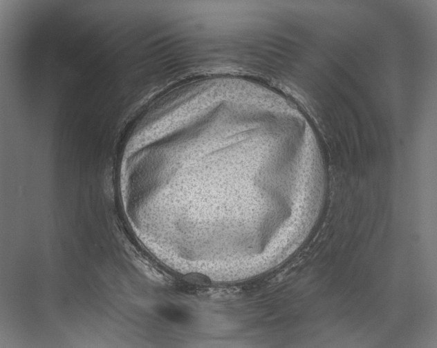 X0000073860345200609071639