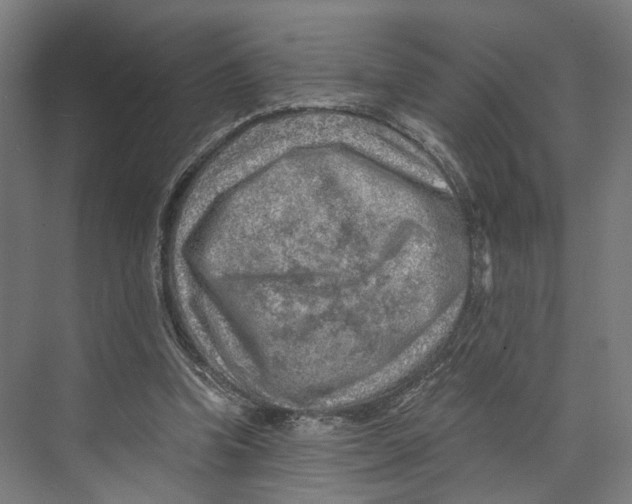 X0000073860346200609071639