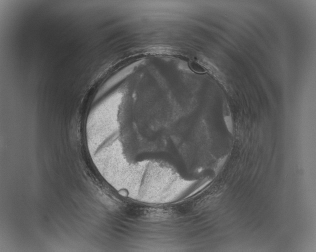 X0000073860347200609071639