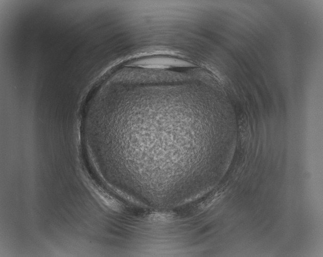 X0000073860350200609071639