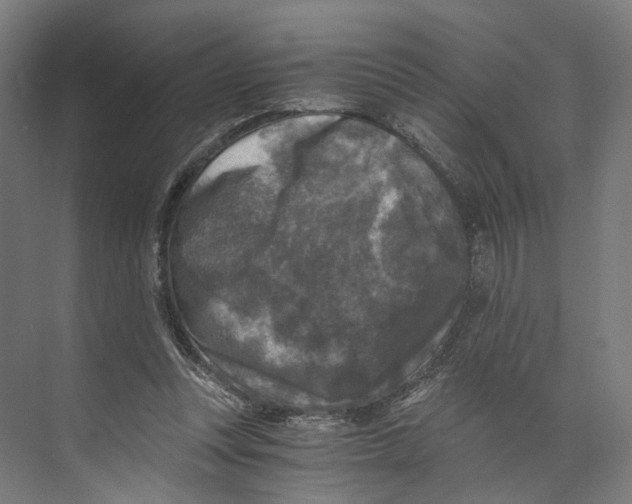 X0000073860351200609071639