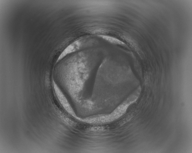 X0000073860353200609071639