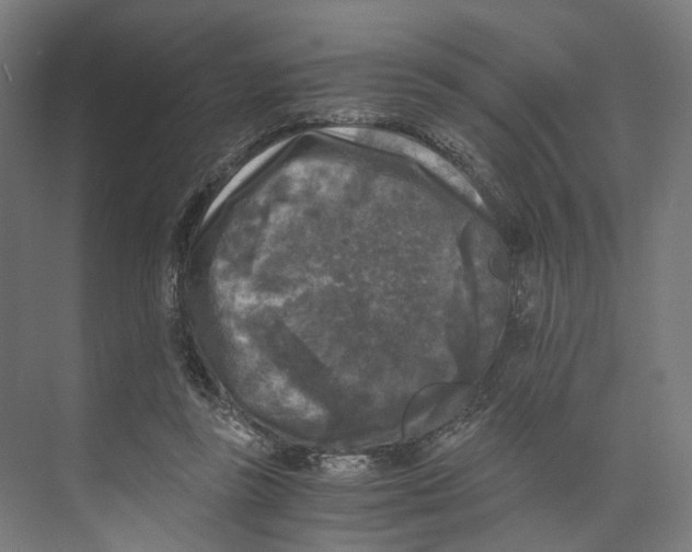 X0000073860355200609071639