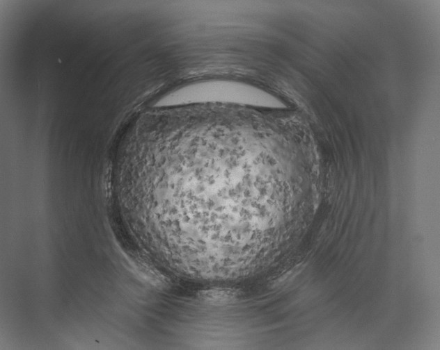 X0000073860356200609071639