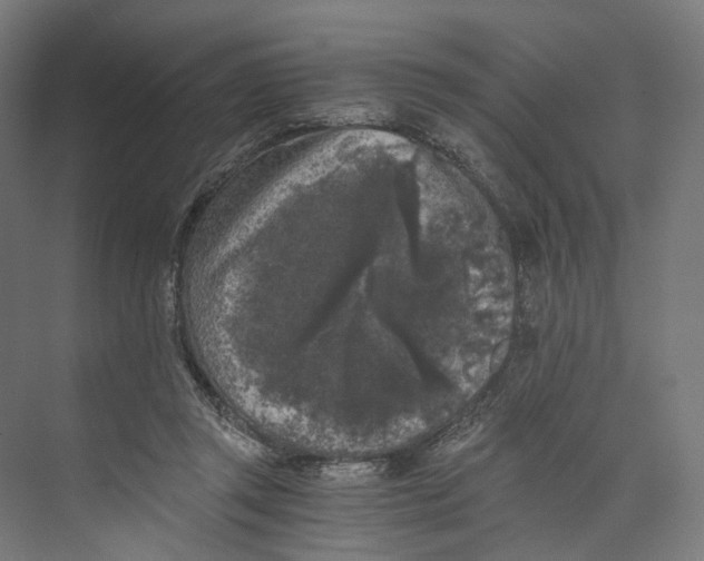 X0000073860357200609071639