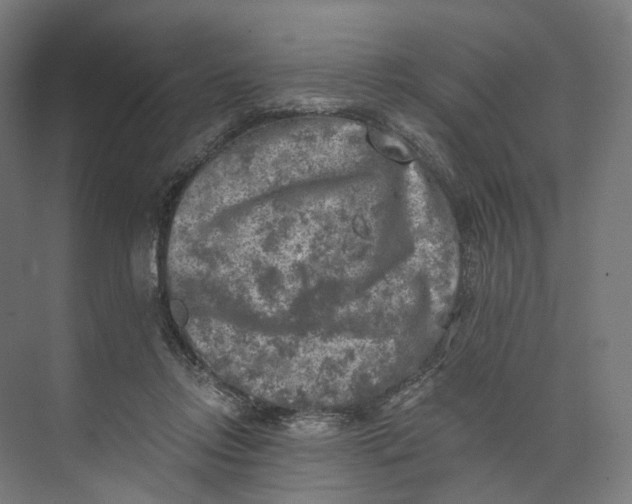 X0000073860358200609071639