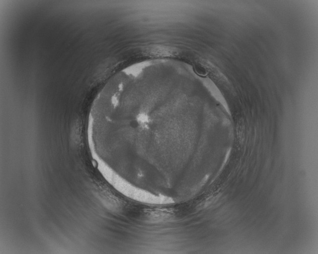 X0000073860359200609071639