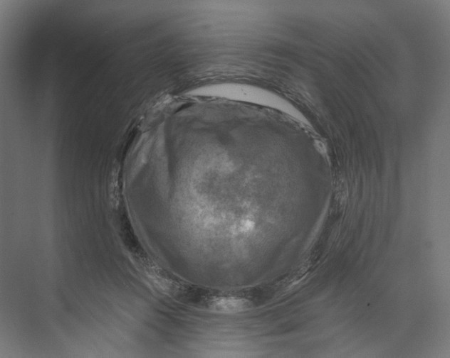 X0000073860360200609071639