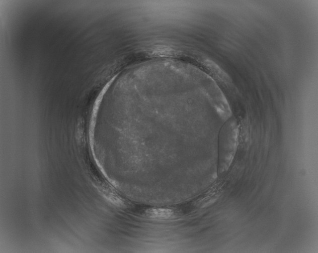 X0000073860361200609071639