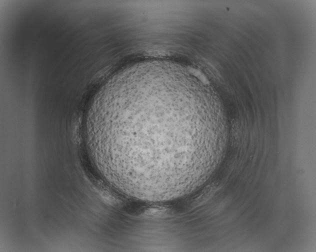 X0000073860364200609071639